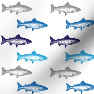 Multi Fish in Blue