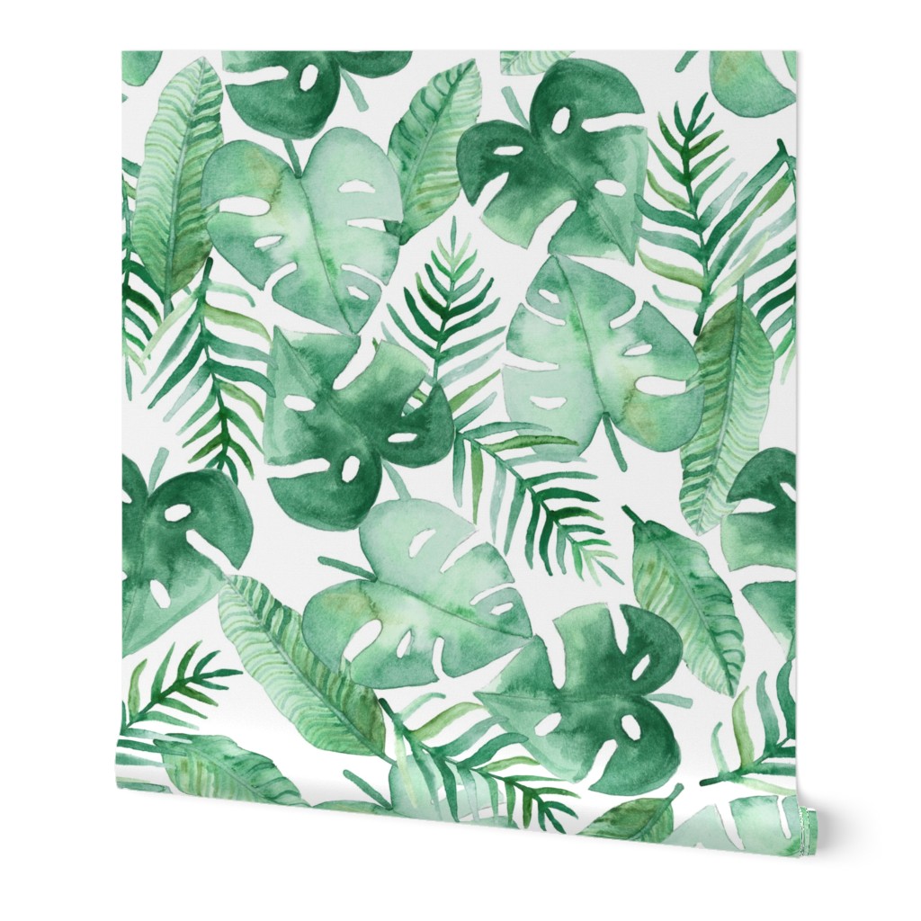 Tropical Jungle on White