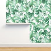 Tropical Jungle on White