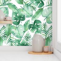 Tropical Jungle on White