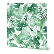 Tropical Jungle on White