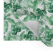 Tropical Jungle on White