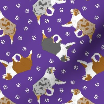 Small trotting Australian Shepherds and paw prints - dark purple