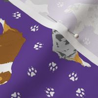 Small trotting Australian Shepherds and paw prints - dark purple