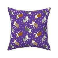 Small trotting Australian Shepherds and paw prints - dark purple