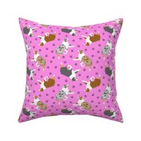 Small trotting Australian Shepherds and paw prints - pink