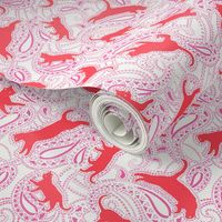 cat-paisley-red-pink