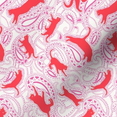 cat-paisley-red-pink