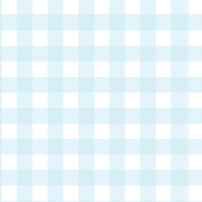 Sky Blue Gingham