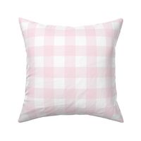 Pretty in Pink Gingham