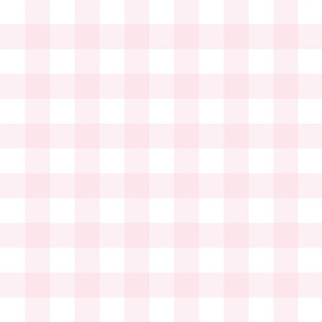 Pretty in Pink Gingham