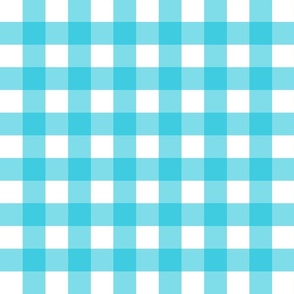 Ocean Blue Gingham