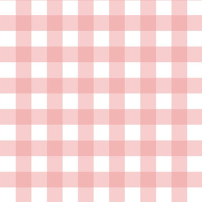 Soft Rose Gingham