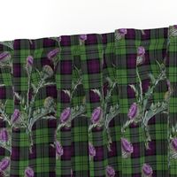 Feochadan Tartan