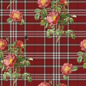 Wild Rose Tartan