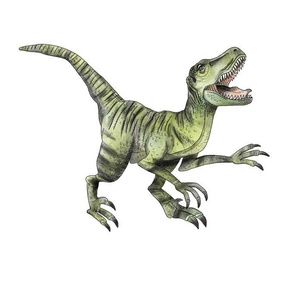 Raptor - Larger Scale