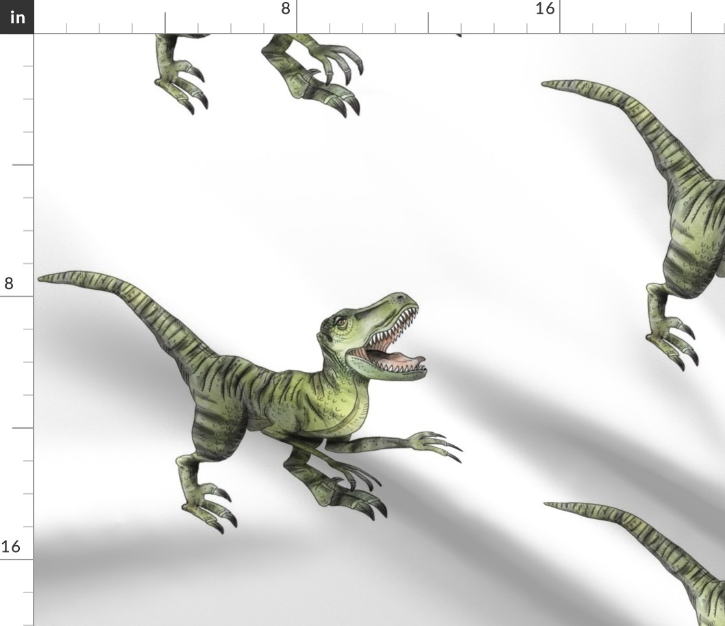 Raptor - Larger Scale
