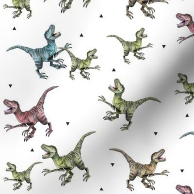 Raptors - Smaller Scale