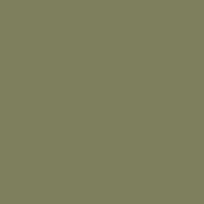 Medium Khaki Green Solid Plain Color