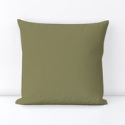 Light Khaki Green Solid Plain Color