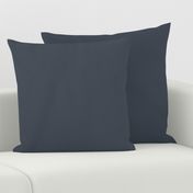 Thunder Navy Blue Solid Plain Color