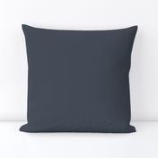 Thunder Navy Blue Solid Plain Color