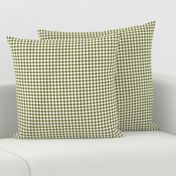 1/4" Avocado green gingham