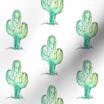 watercolour cactus