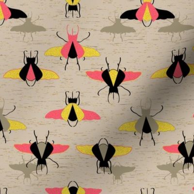 Winged Beetles