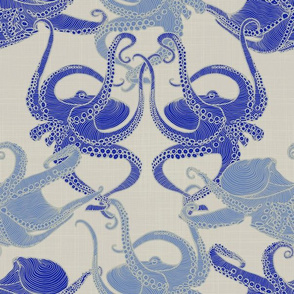 Cephalopod - Octopi smaller - Mediterranean
