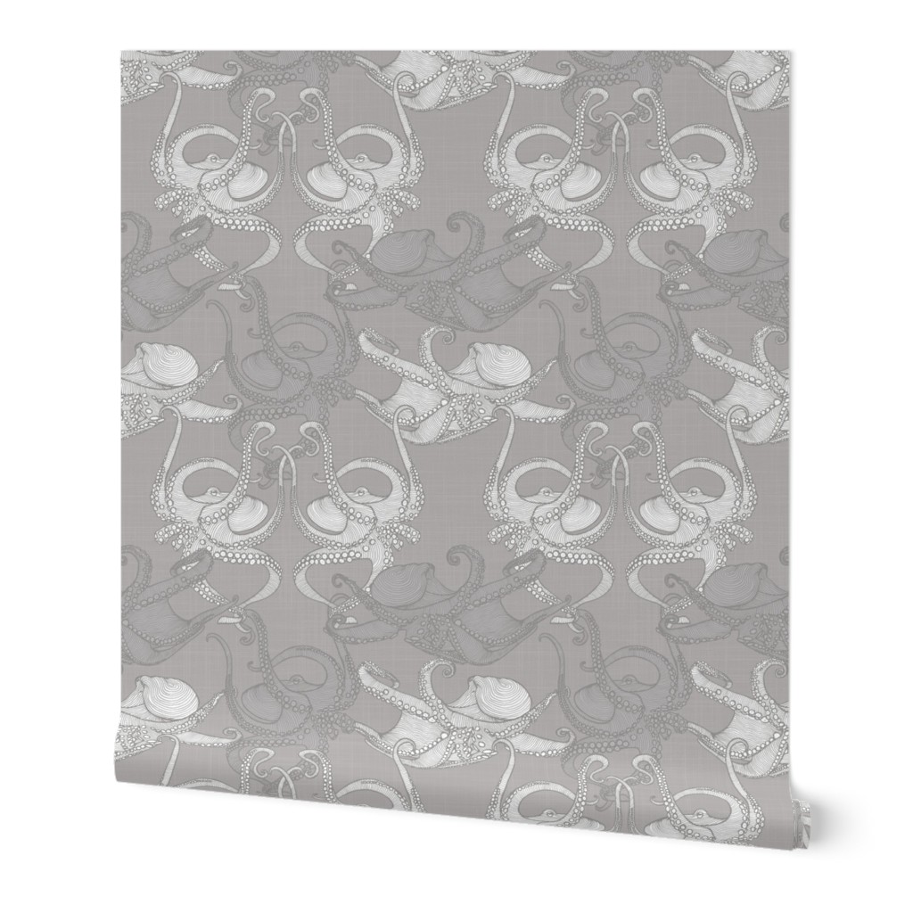 Cephalopod - Octopi smaller - Grey