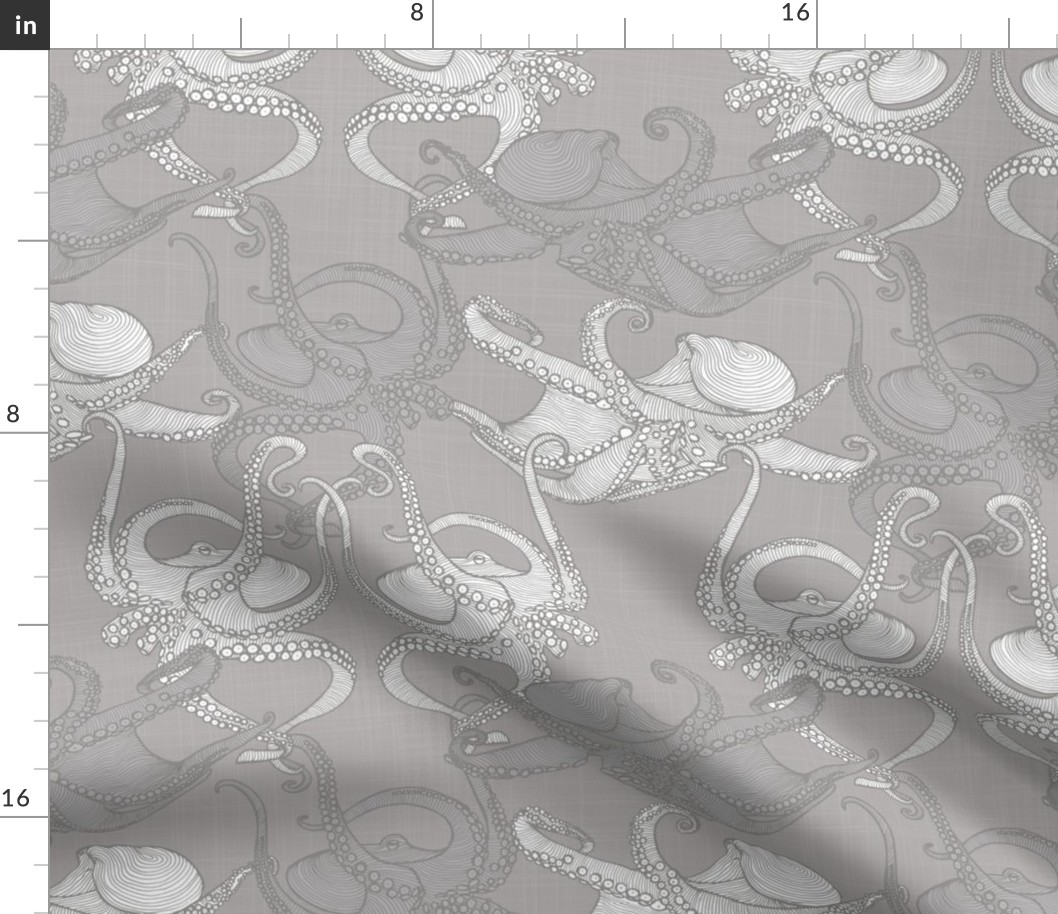 Cephalopod - Octopi smaller - Grey