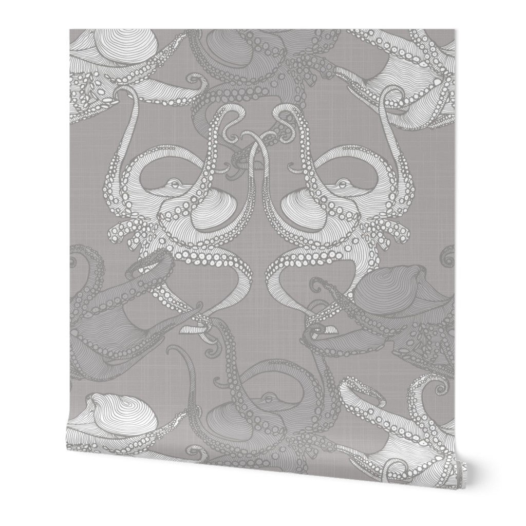 Cephalopod - Octopi - Grey
