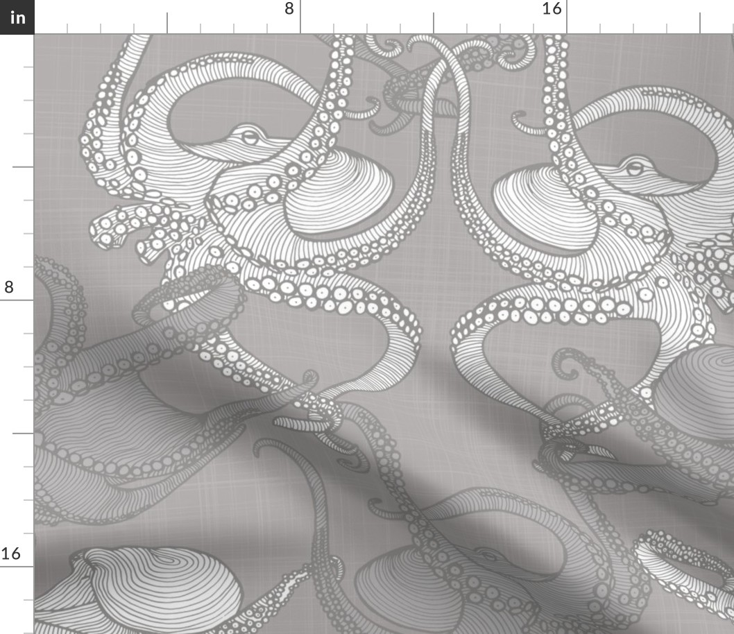 Cephalopod - Octopi - Grey