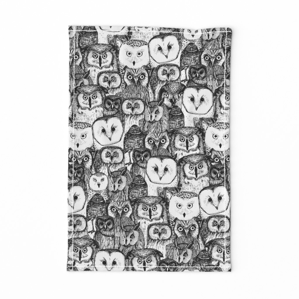 just owls black white