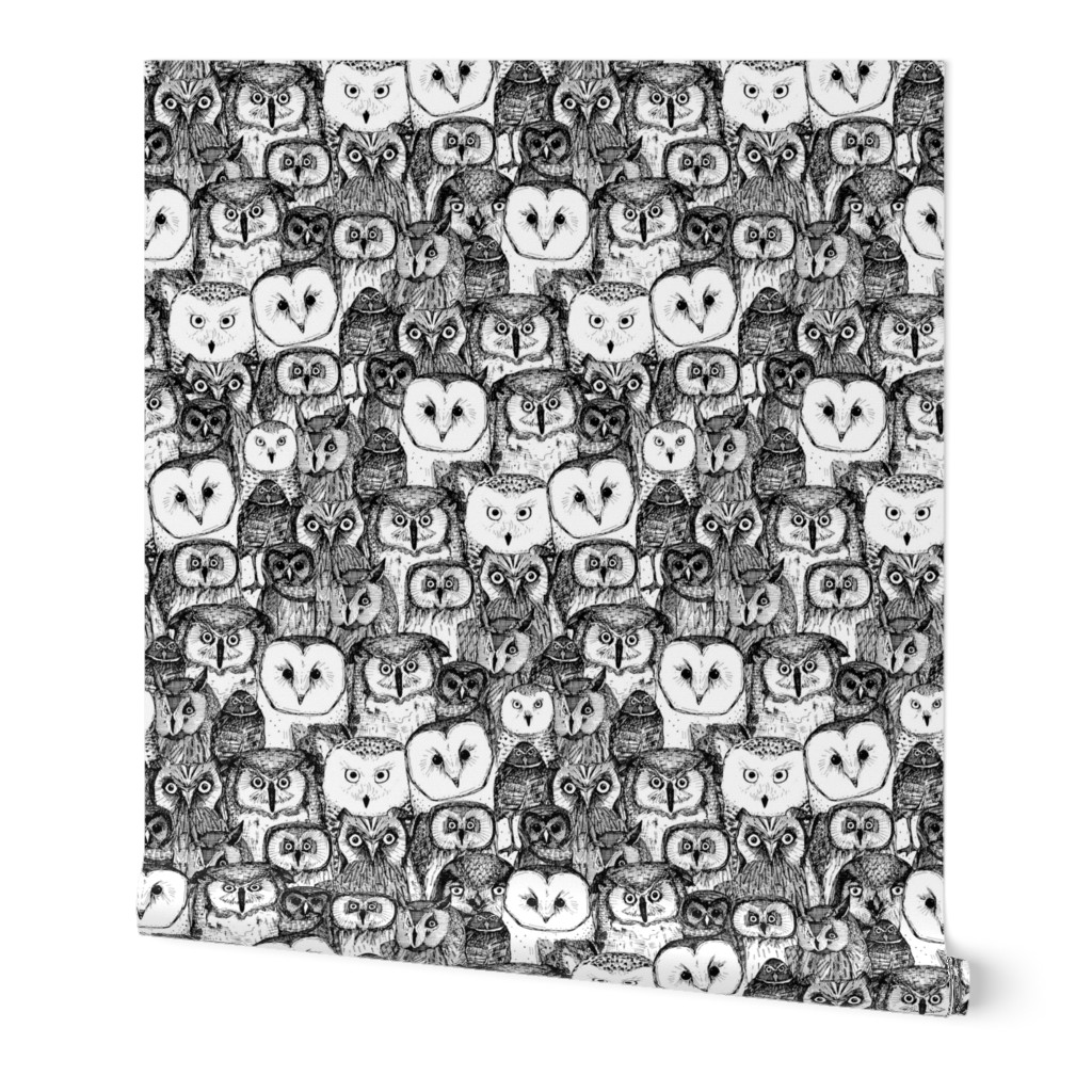 just owls black white