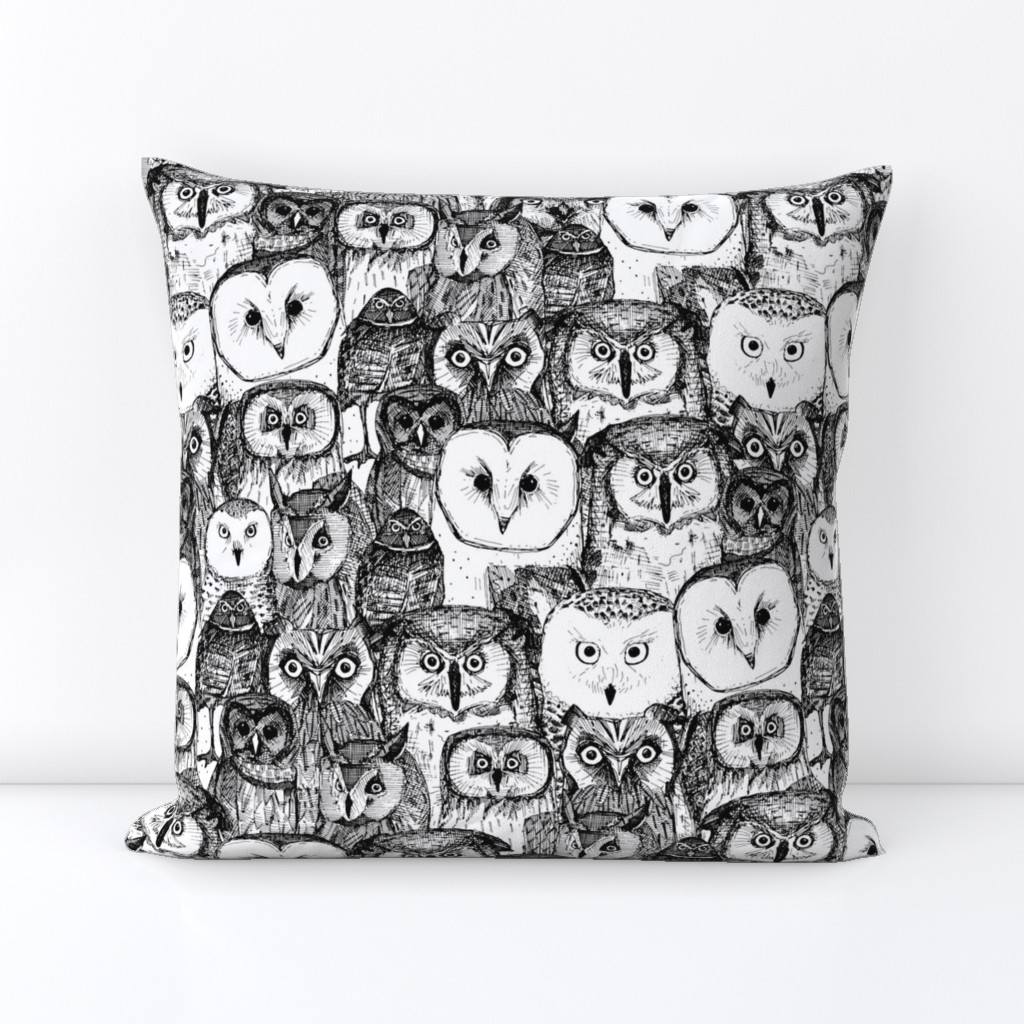 just owls black white