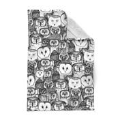 just owls black white