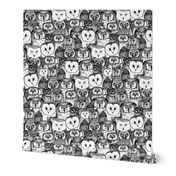 just owls black white