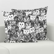 just owls black white