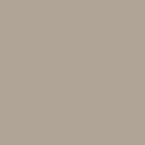 Tranquil Taupe Solid Plain Color