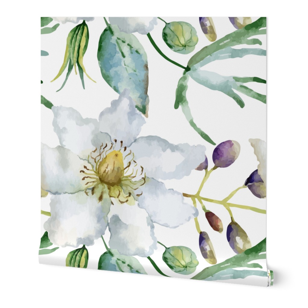 White Clematis