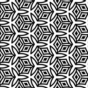 Black and White Geometric