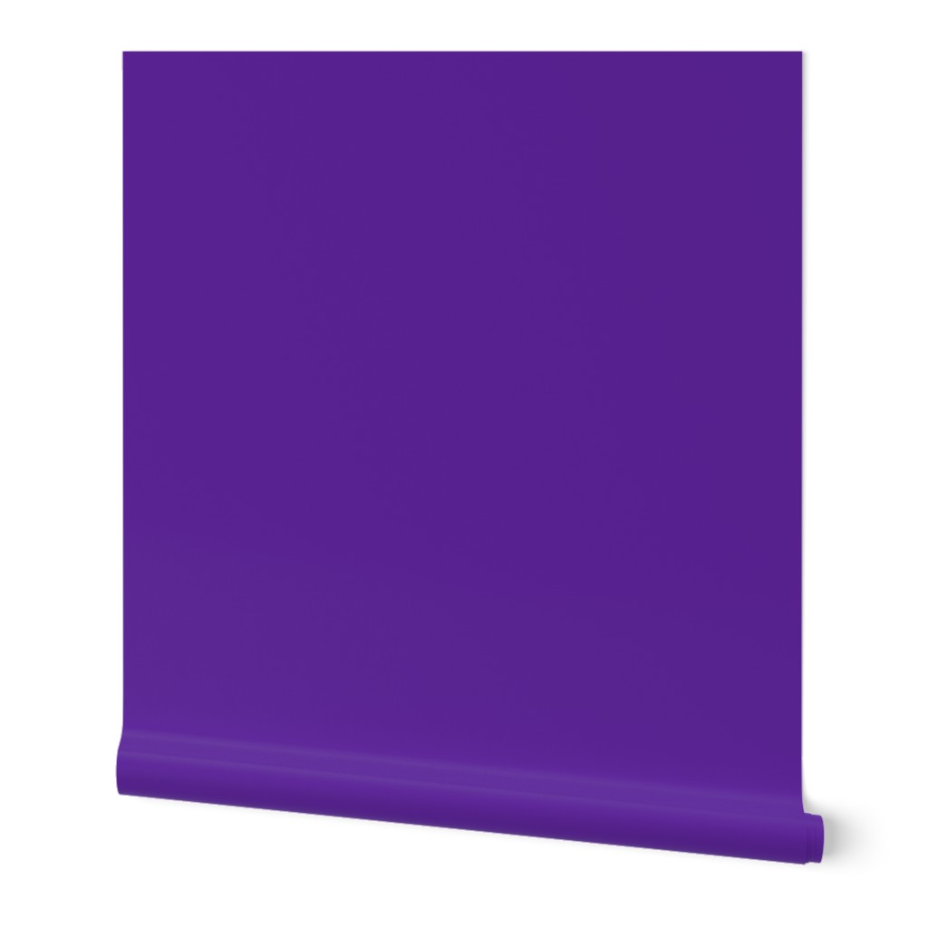 Solid Purple (HEX #5e259b)