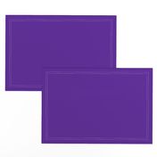 Solid Purple (HEX #5e259b)