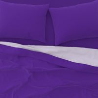 Solid Purple (HEX #5e259b)