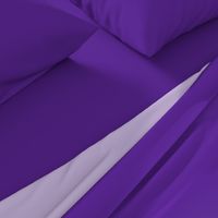 Solid Purple (HEX #5e259b)