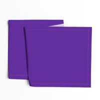 Solid Purple (HEX #5e259b)