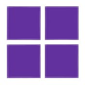 Solid Purple (HEX #5e259b)