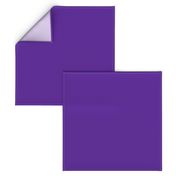 Solid Purple (HEX #5e259b)